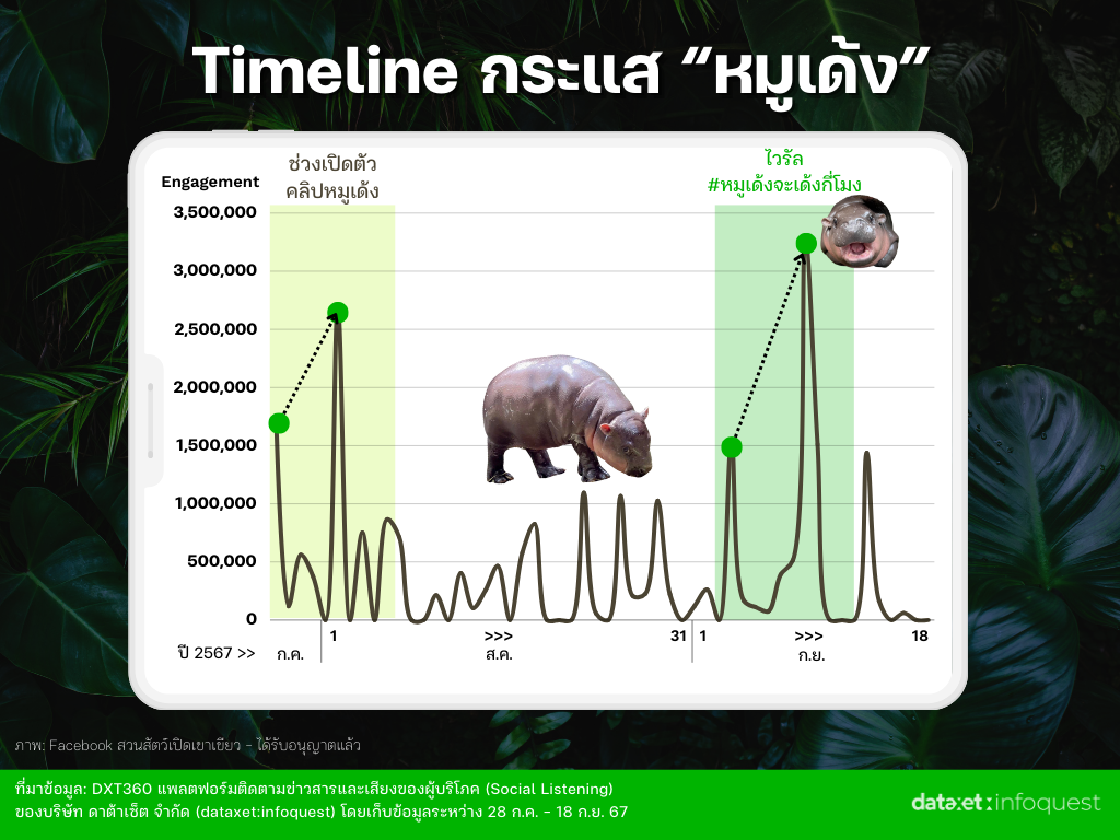 หมูเด้ง